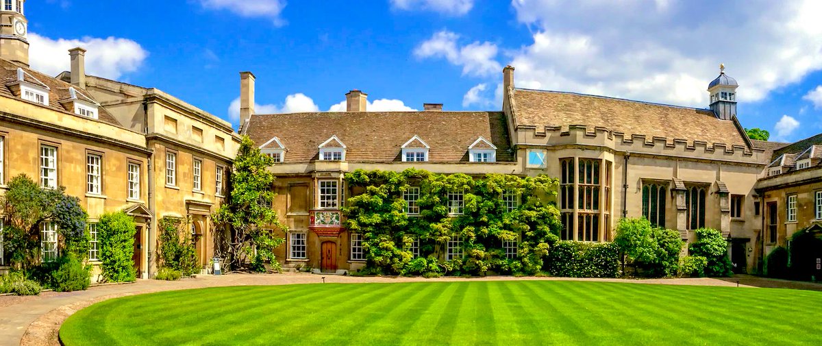 Marcella Montagnese tweet media