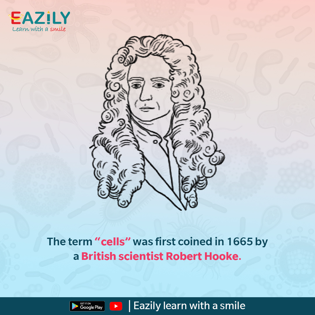 Eazily_learn's tweet photo. Let's learn about the discovery of the human Cell. https://t.co/RqBdyhFJig