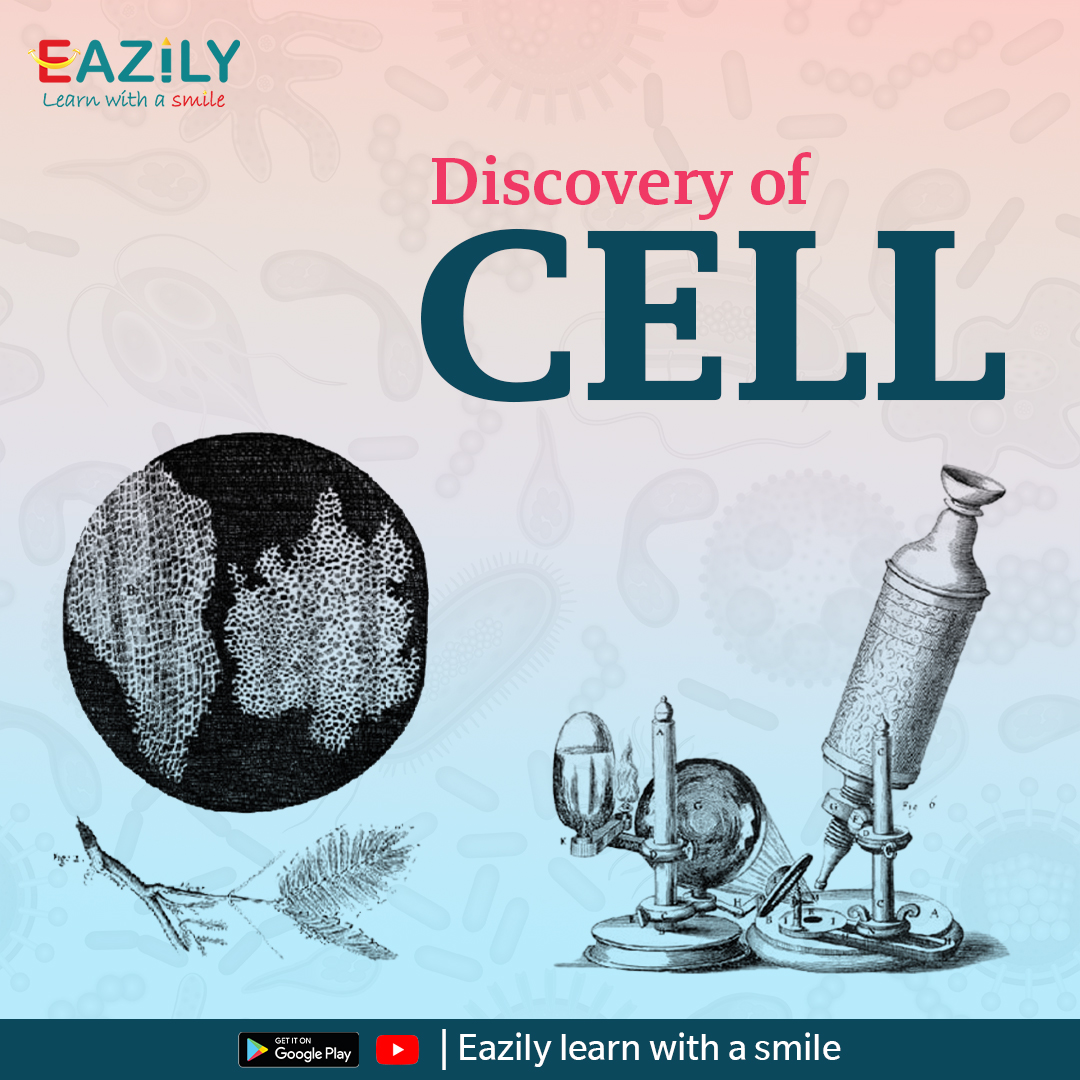 Eazily_learn's tweet photo. Let's learn about the discovery of the human Cell. https://t.co/RqBdyhFJig