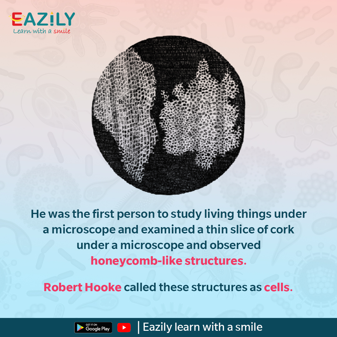 Eazily_learn's tweet photo. Let's learn about the discovery of the human Cell. https://t.co/RqBdyhFJig