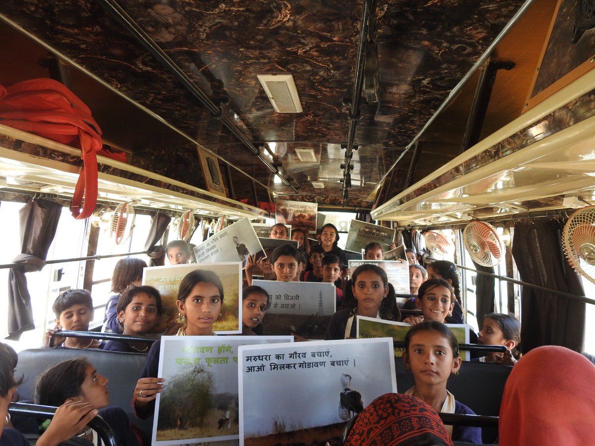 wii_india's tweet photo. As part of Rajasthan Forest Department's #Wildlifeweek2023 celebration, students from 12 schools in Jaisalmer participated in a quiz competition and an environmental education session conducted by WII's #BustardRecoveryProgram team
#missionLife
@moefcc @ForestRajasthan @vrtiwari1 @SutirthaDutta82