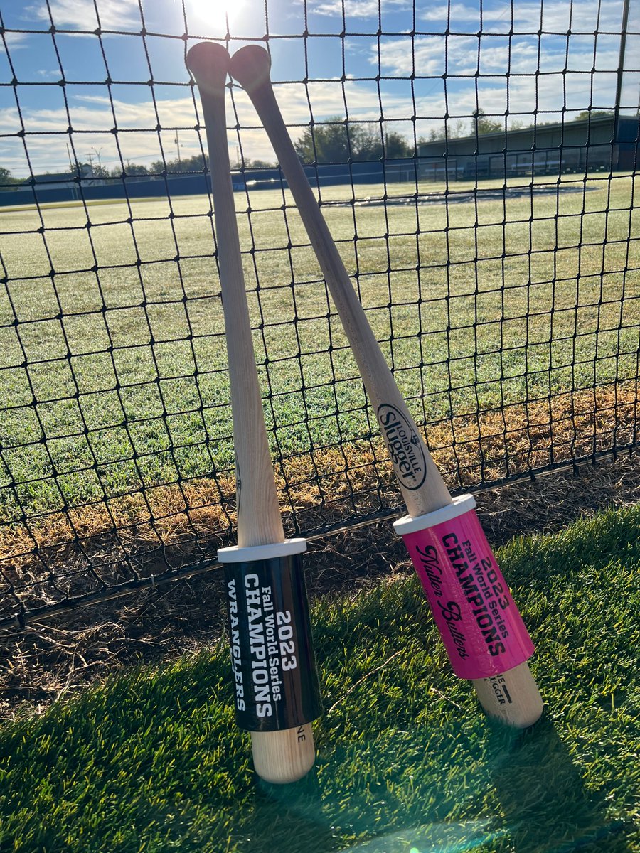 It's a great day to be a Yellow Jacket.  Today we crown a Champion for our Fall World Series.  First pitch @ 4:00pm.