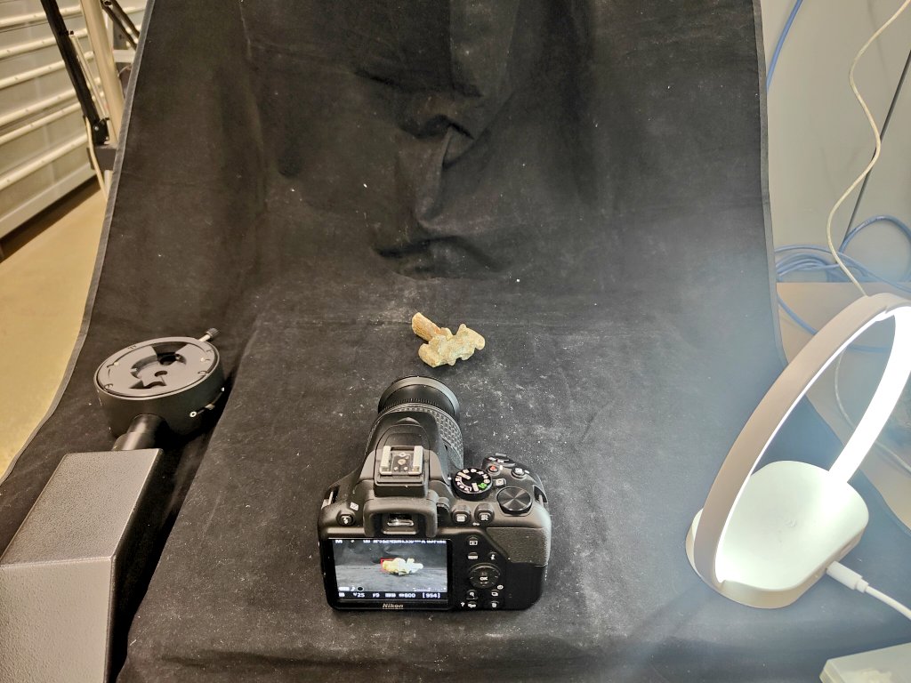 PaleoAlber's tweet photo. Working with some photogrammetry of #Simosaurus 📸 🦴 #Saurooterygia #SMNS #Stuttgart https://t.co/RySWEYNOMJ