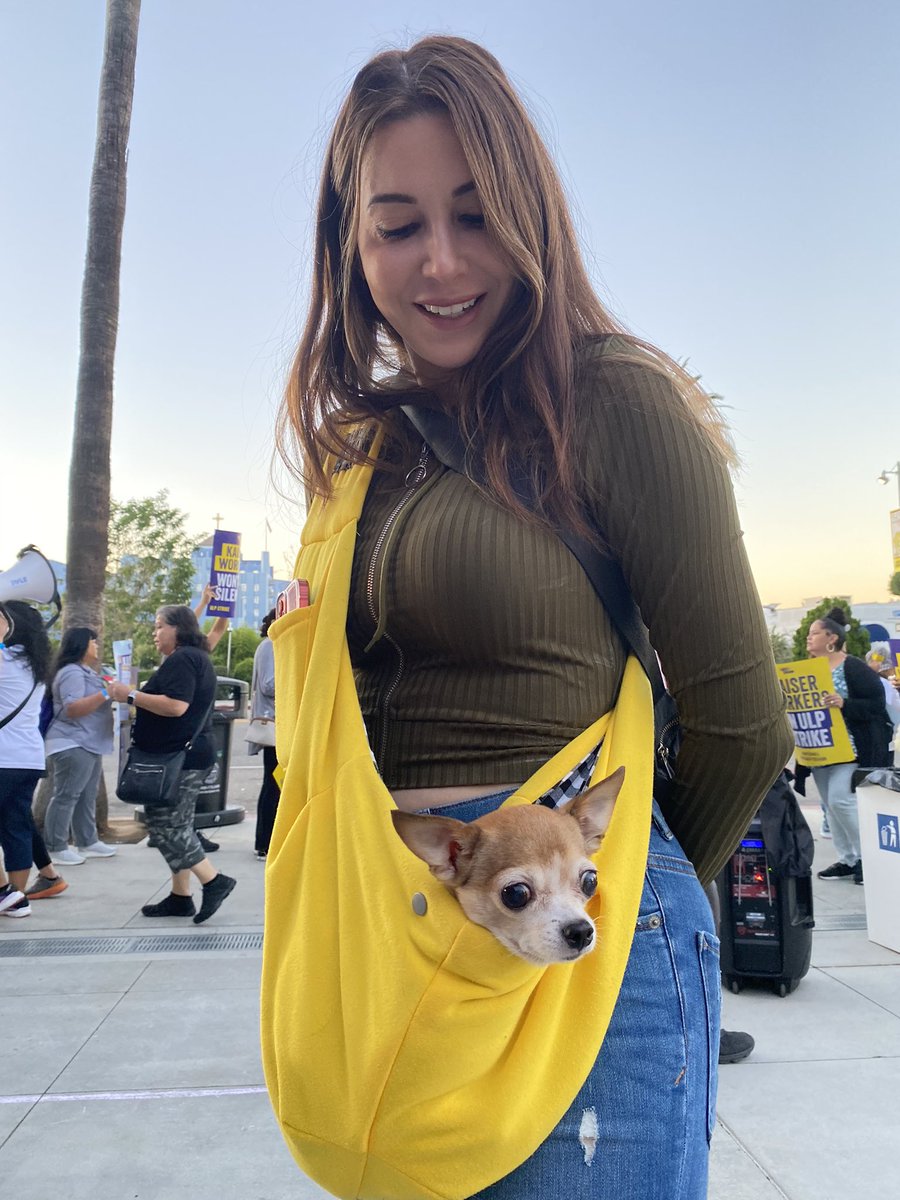 Day 3 of Kaiser workers ON STRIKE and the dogs are here to support #United4All #SolidaritySeason