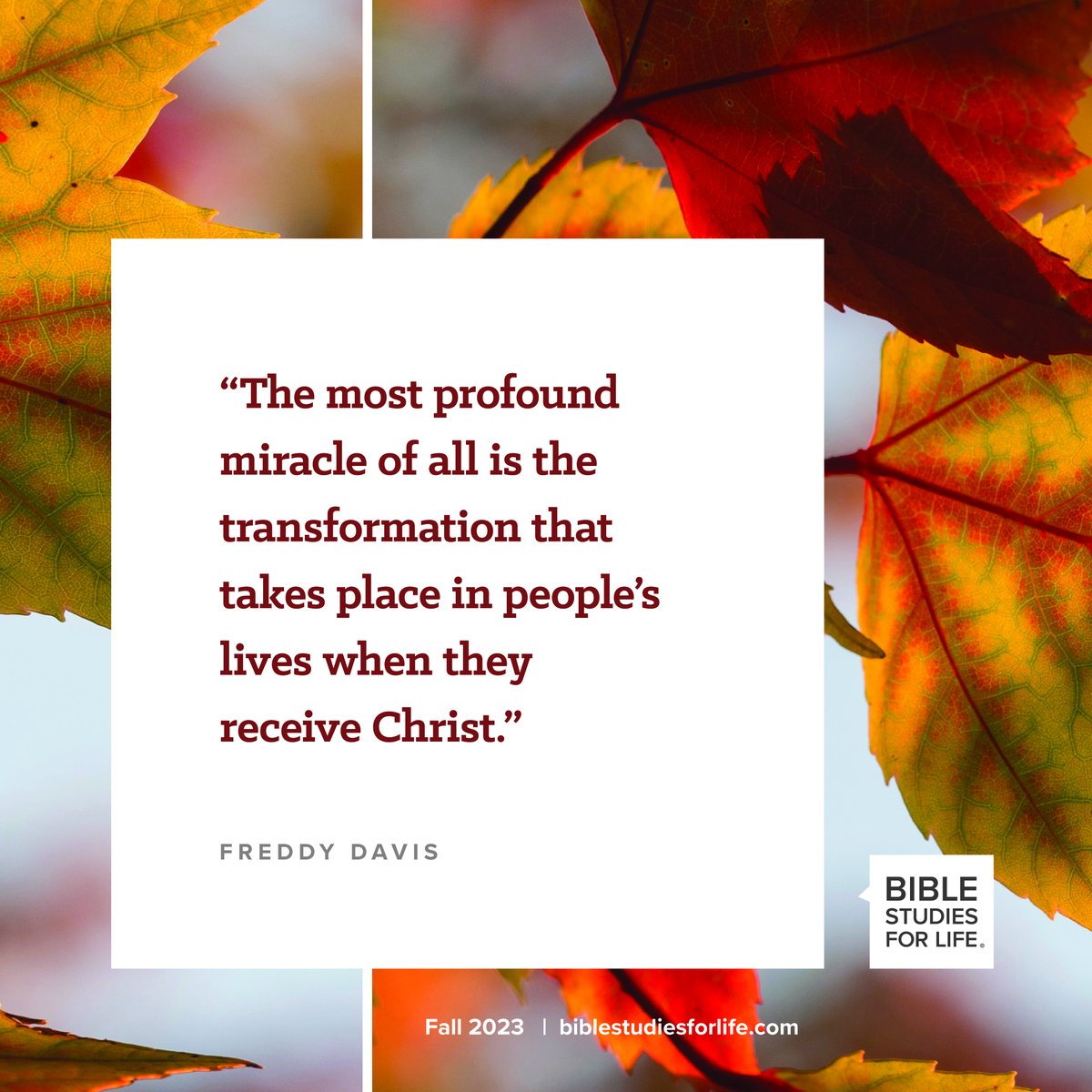 smallgroup_com's tweet photo. Fall studies: Staying True in a World Far from God, Confident in the Face of Hard Questions, and God Deserves Our Thanks. https://t.co/z1Ri4gmUlg https://t.co/4cB36Ocq0p
