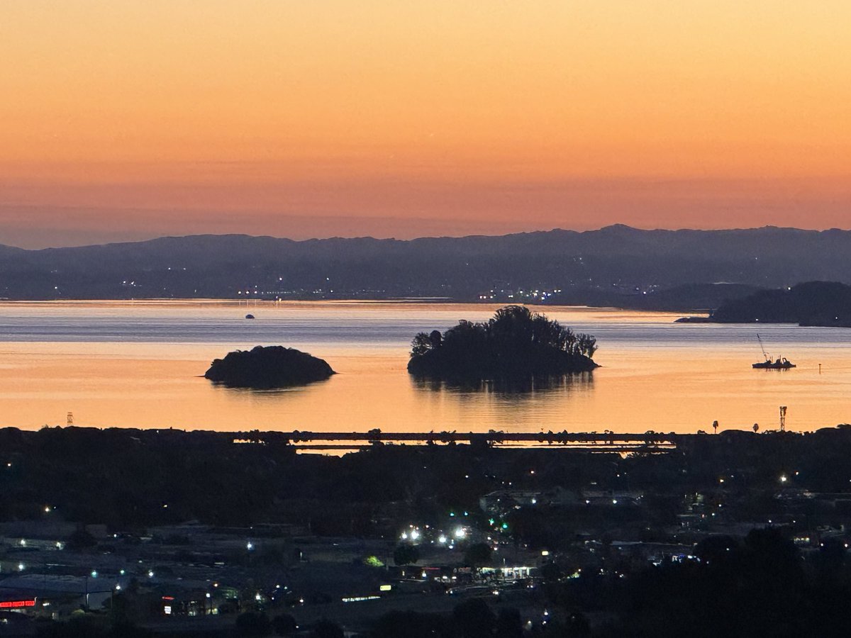 Thomas Henthorne tweet media