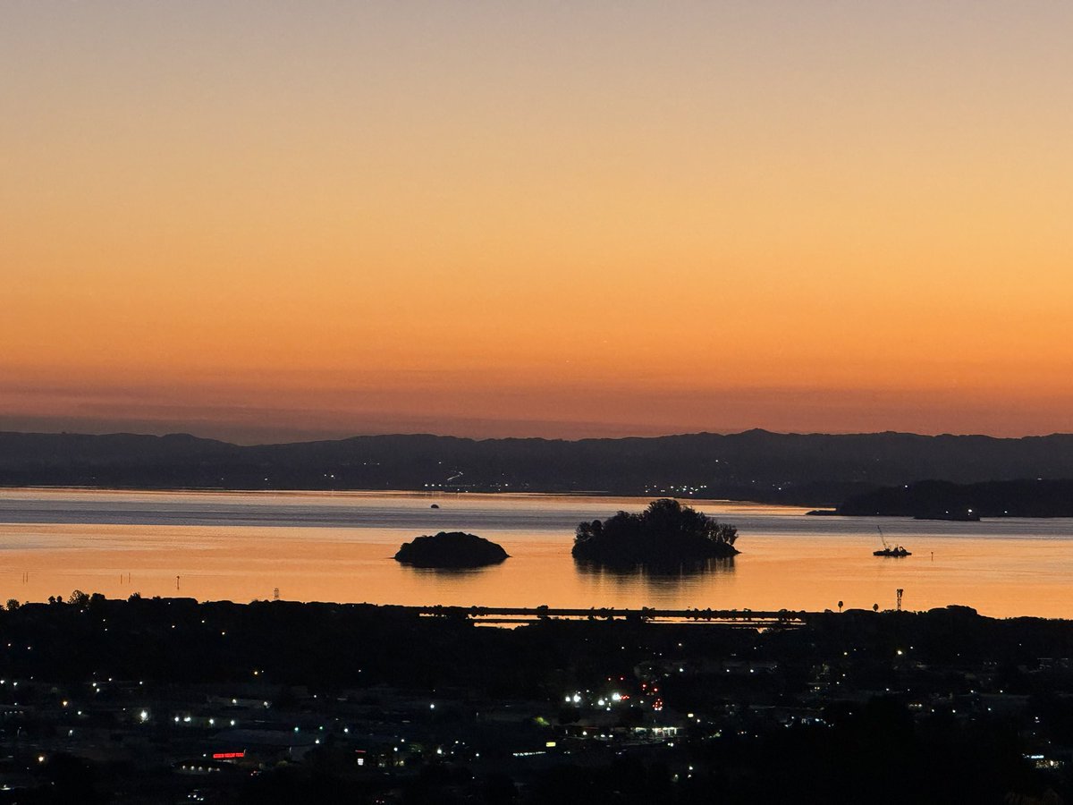 Thomas Henthorne tweet media