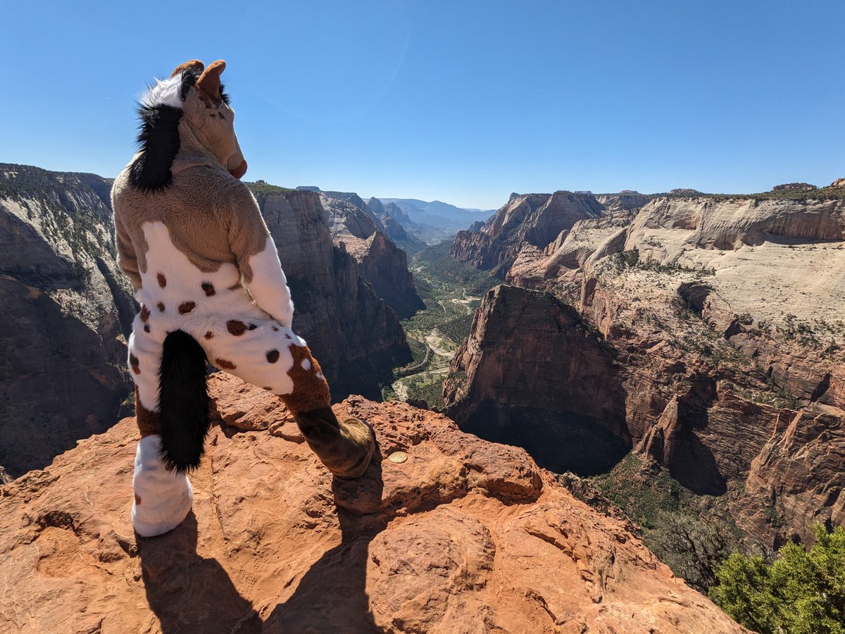 It's amazing what you can accomplish when you put in the effort... 🏞️🐴👍 #FursuitFriday