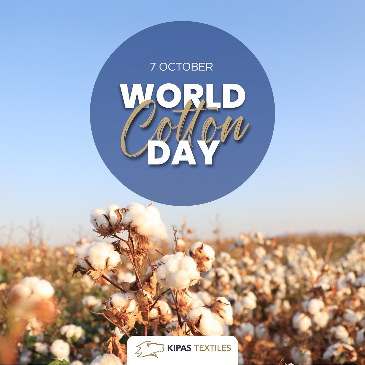 We are proud to have started implementing the regenerative cotton cultivation system within our organization, with an environmentally conscious approach aimed at reducing our carbon footprint.

Happy World Cotton Day.

#happyworldcottonday
