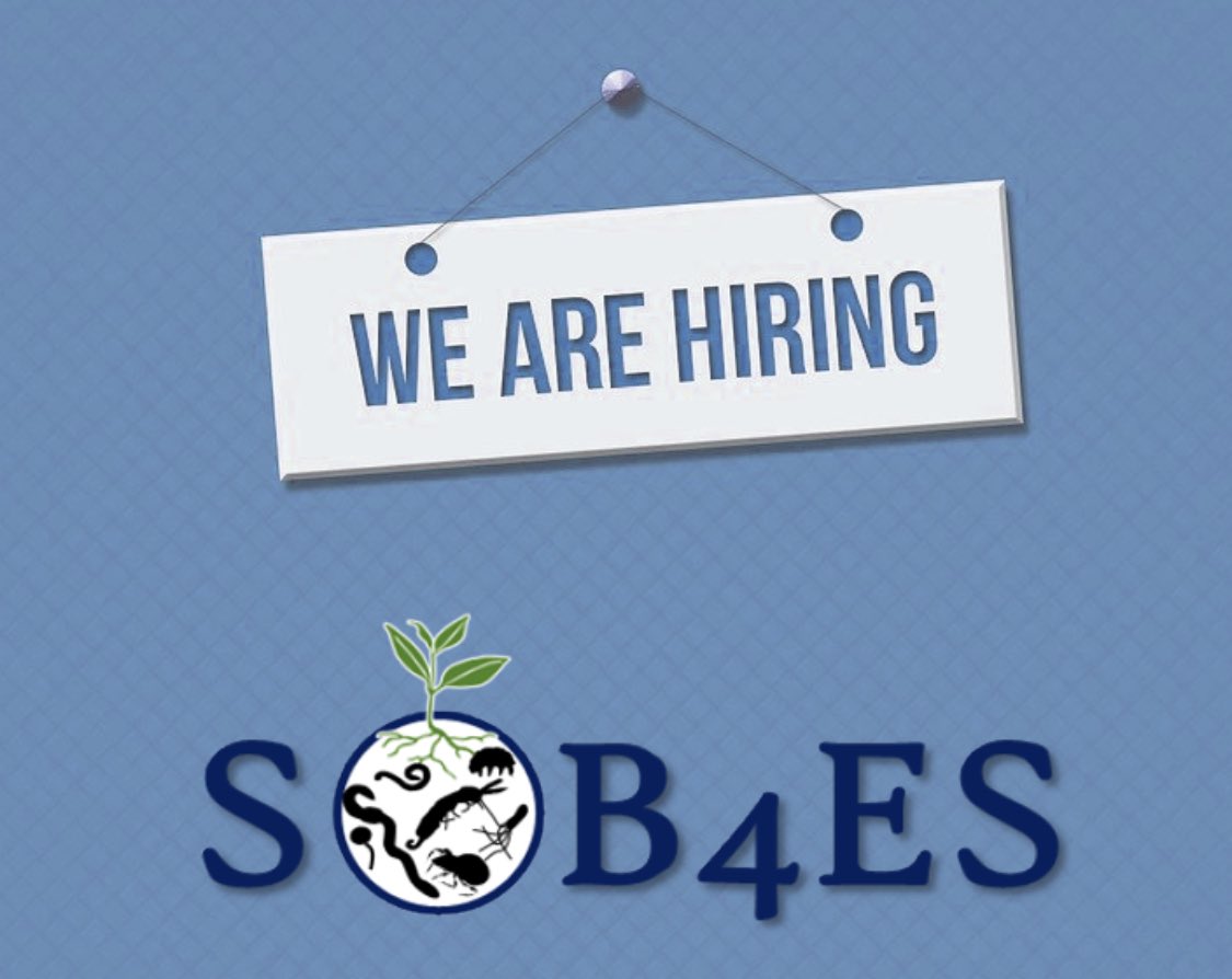 Do you want to help unravel the link between soil biota and soil carbon dynamics at a European scale? Here’s your chance!! We’re looking for a motivated PhD student to join us @KU_Leuven and @sob4es / we are #hiring / thank you for sharing - kuleuven.be/personeel/jobs…