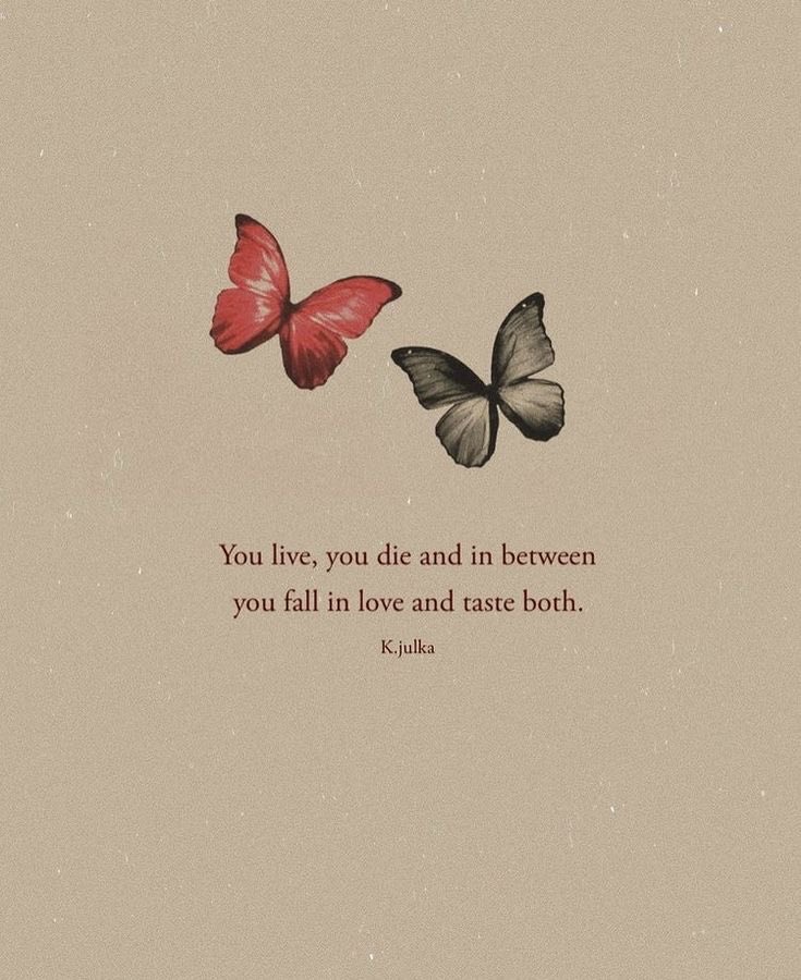 bellarosa000's tweet photo. 💔❤️ https://t.co/eg0jTpRbM2