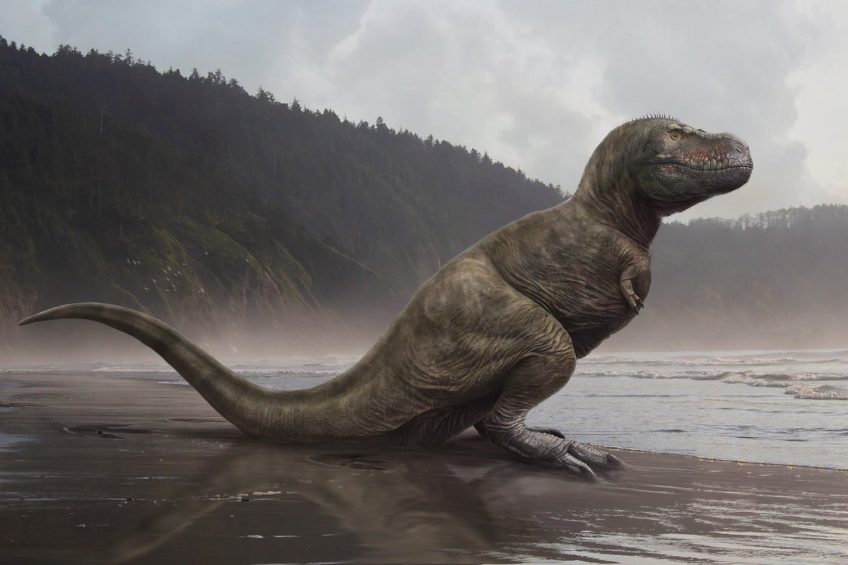 DragonsofWales's tweet photo. Oops. Looks like I missed #TrexDay yesterday. Doesn’t matter: they are very dead and not on Twitter. Anyway, have some rexes… https://t.co/zA8HhxKr2D