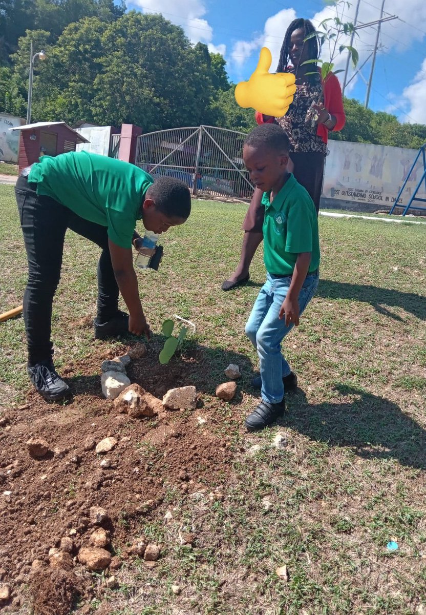 It's National Tree Planting Day at John Rollins Success Primary and Infant. Officer in action while teachers and children look on with appreciation. <a href="/ECCJA/">Early Childhood Commission</a>
<a href="/NikkiMcghie/">Nikki McGhie</a> <a href="/Stcy14226538/">October Girl✨️♏️</a> <a href="/FaithECC07/">Faith Lyn</a> #12StandardsMatter
#ClimateActionNow