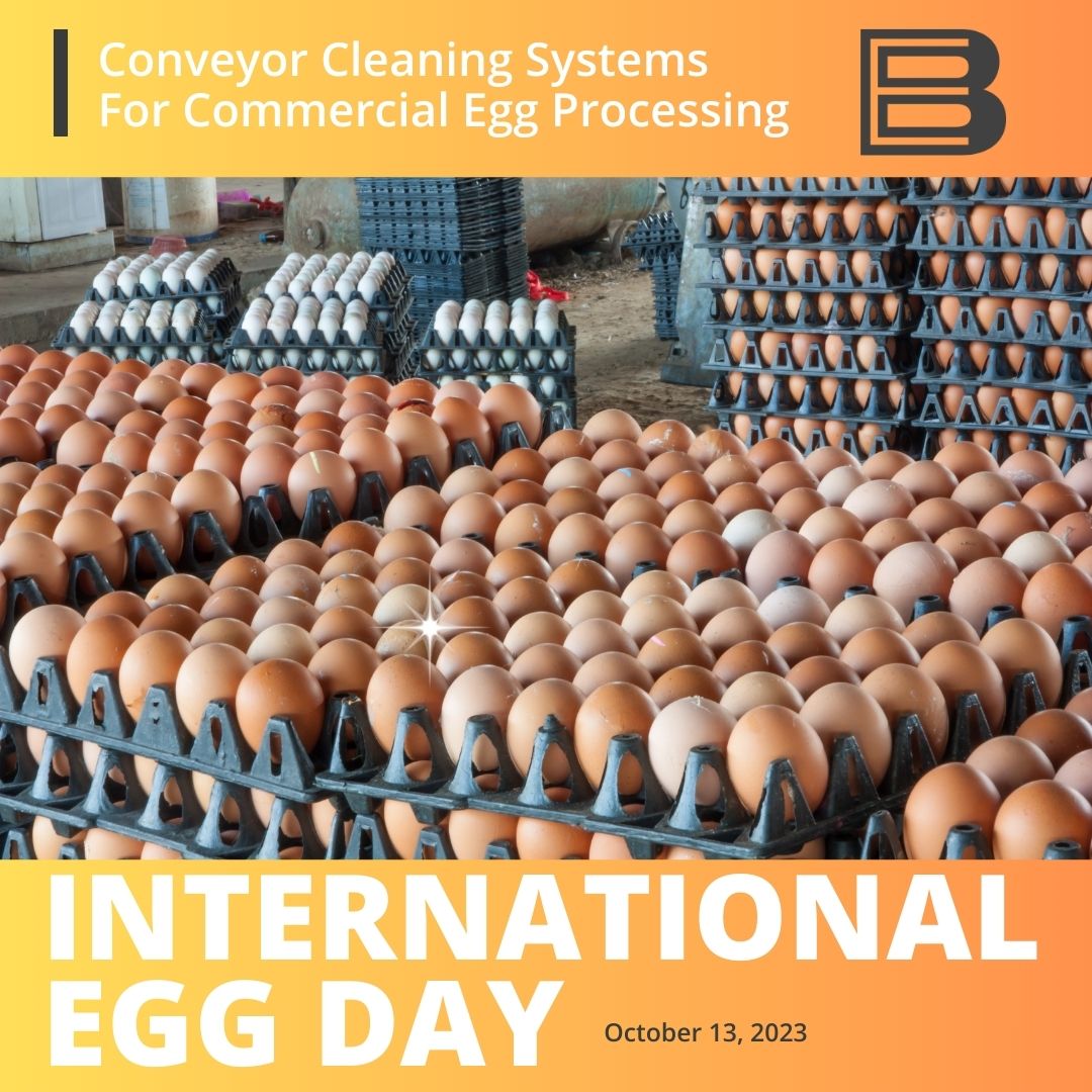 Our engineering team can design custom conveyor tunnel washers for the commercial industry as a cost-effective solution for moving light, intermediate, and heavy-duty products through food sanitization and disinfection. #FoodProcessing 
#EggWashing 
betterengineering.com/the-importance…