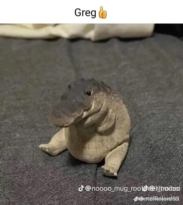 Gerg👍