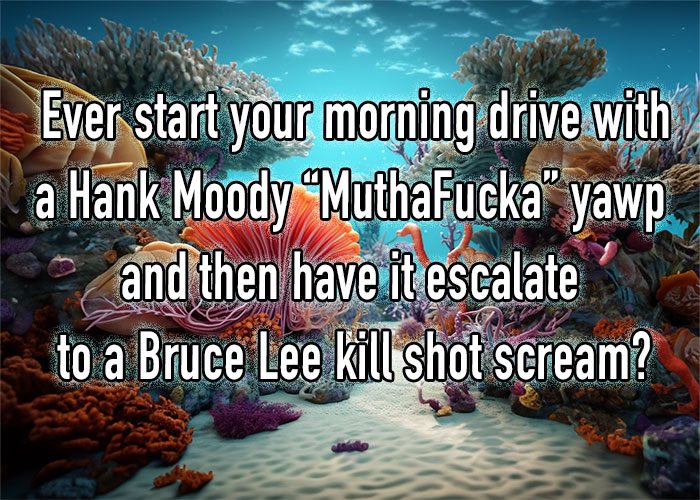 jfcore's tweet image. 