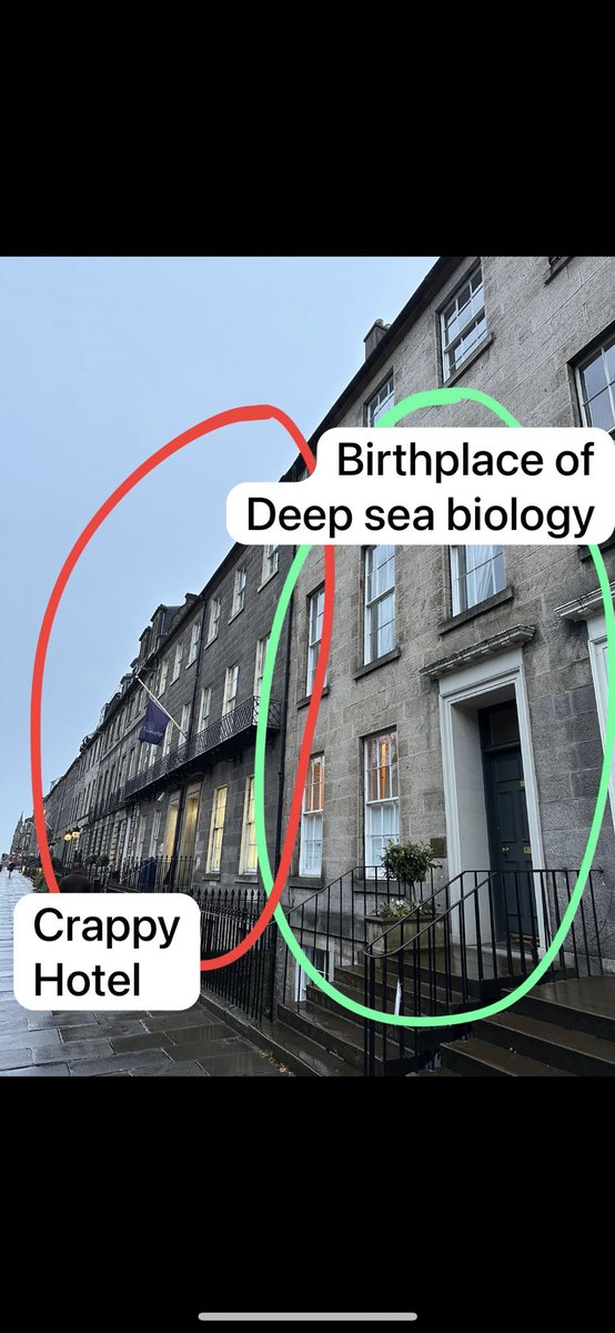 Adrian Glover (@adrg1) on Twitter photo In #Edinburgh for #BBNJ_Symposium. Mind blown 🤯 to discover my hotel is literally right next door to Sir John Murray’s Challenger Expedition Offices at 32 Queen St. Bizarrely, no plaque for the birthplace of oceanography. <a href="/Edinburgh_CC/">The City of Edinburgh Council</a> In #Edinburgh for #BBNJ_Symposium. Mind blown 🤯 to discover my hotel is literally right next door to Sir John Murray’s Challenger Expedition Offices at 32 Queen St. Bizarrely, no plaque for the birthplace of oceanography. <a href="/Edinburgh_CC/">The City of Edinburgh Council</a>