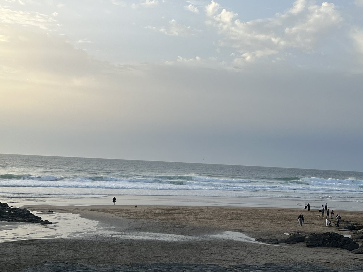 Koru Kayaking tweet media