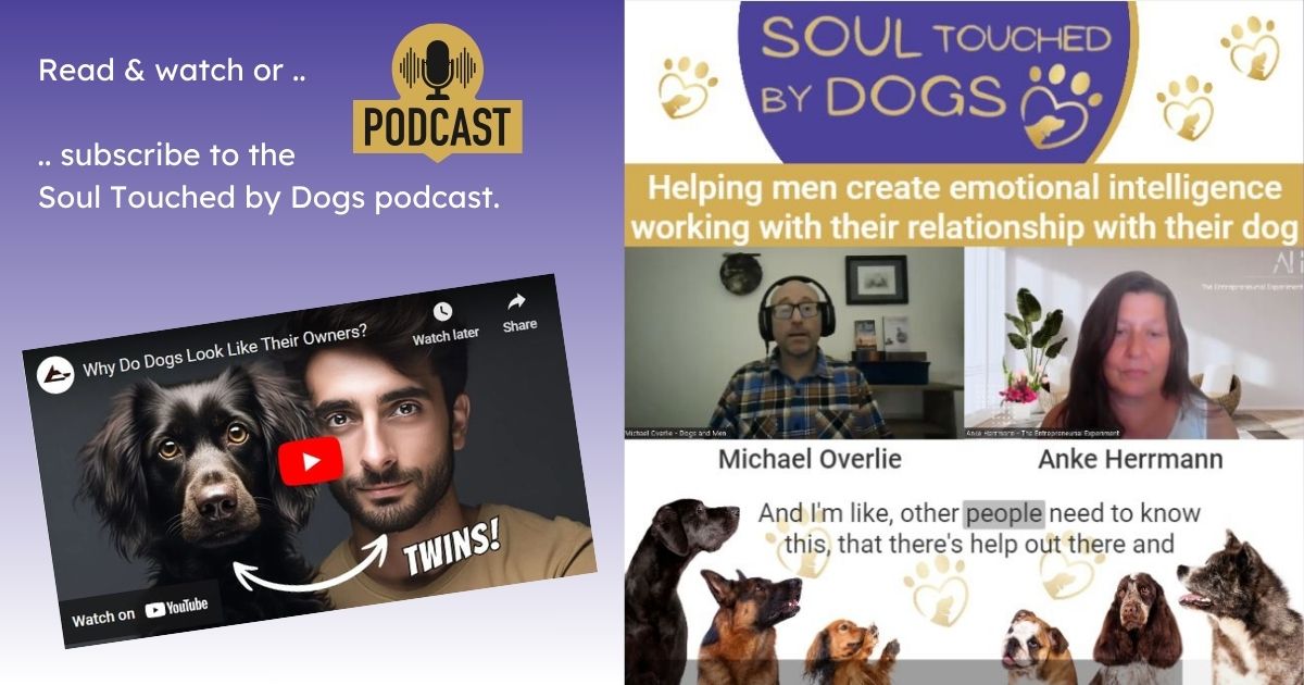 Anke Herrmann tweet media