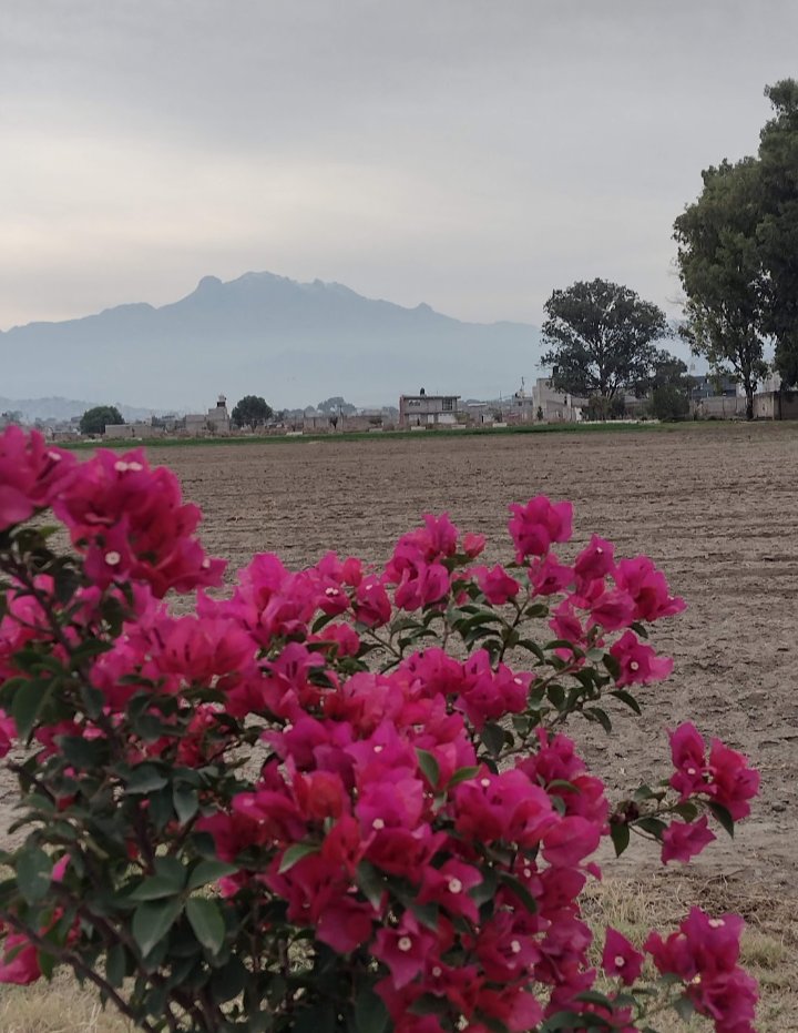 LAnselene's tweet photo. #DeMiPuebloParaElMundo
Vista del Iztaccihuatl en Otoño  desde antigua carretera Chalco - Mixquic https://t.co/Sr8FwnMfL4