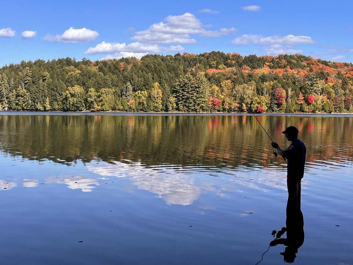 Emilie.isasa tweet media