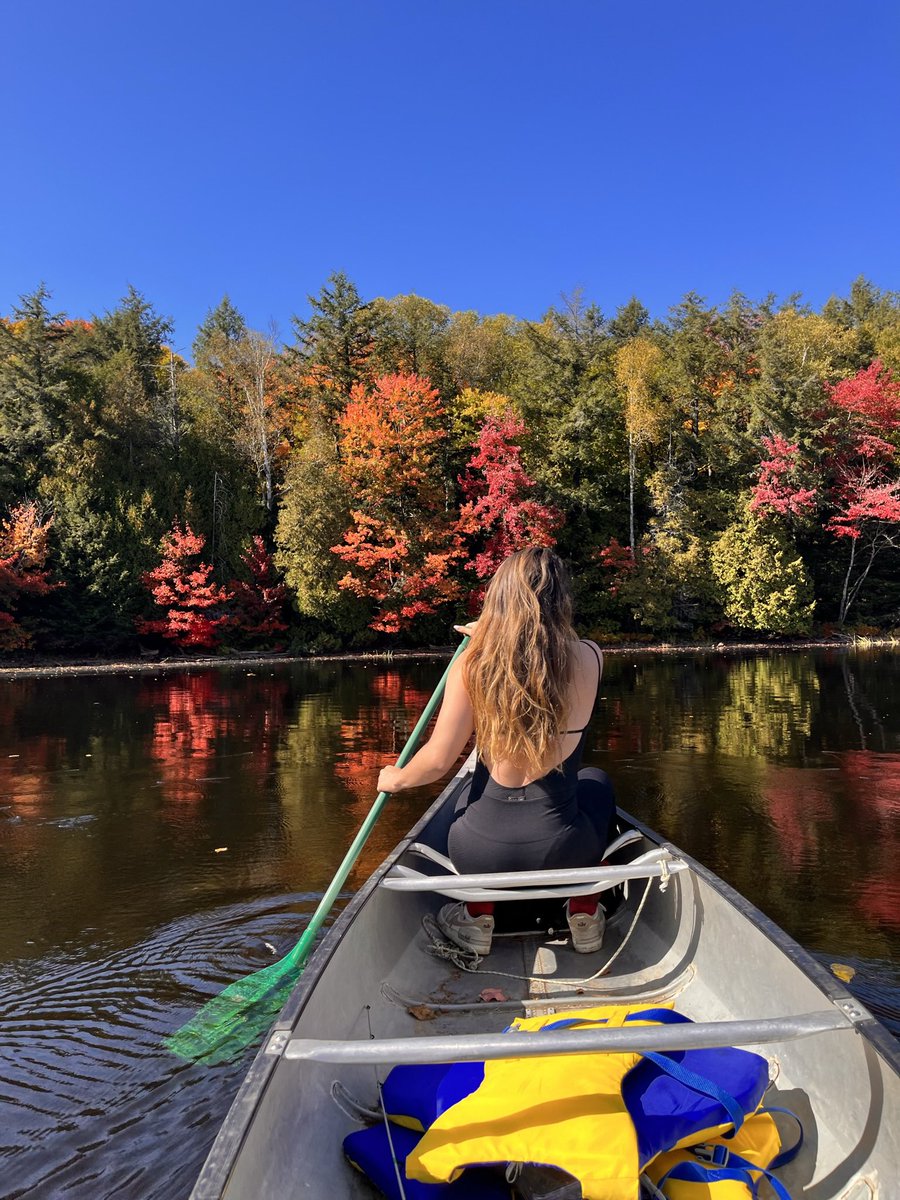 Emilie.isasa tweet media