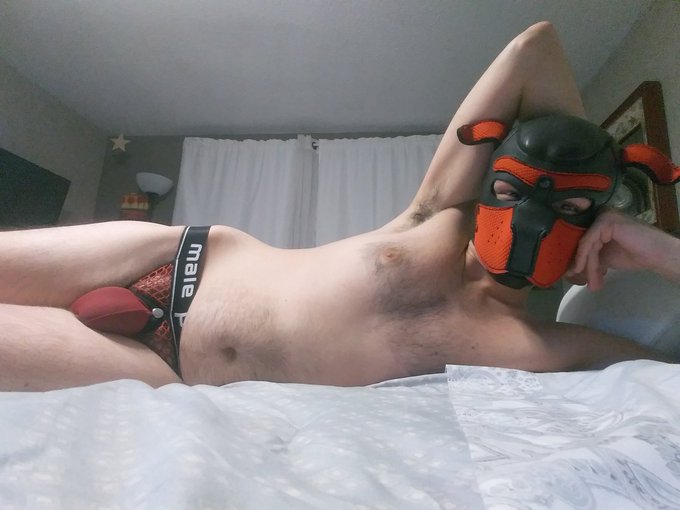 Wanna play with my softie? 🐶 #nsfwgay #gaypup #gaynsfw #gaycock #gaysoftie #pupplay #gaysub #gaybottom<a href="/tag/nsfwgay"class="tags">#nsfwgay</a><a href="/tag/gaypup"class="tags">#gaypup</a><a href="/tag/gaycock"class="tags"><span>#gaycock</span></a><a href="/tag/pupplay"class="tags"><span>#pupplay</span></a><a href="/tag/gaybottom"class="tags"><span>#gaybottom</span></a><a href="/tag/gaysub"class="tags"><span>#gaysub</span></a><a href="/tag/gaynsfw"class="tags"><span>#gaynsfw</span></a>