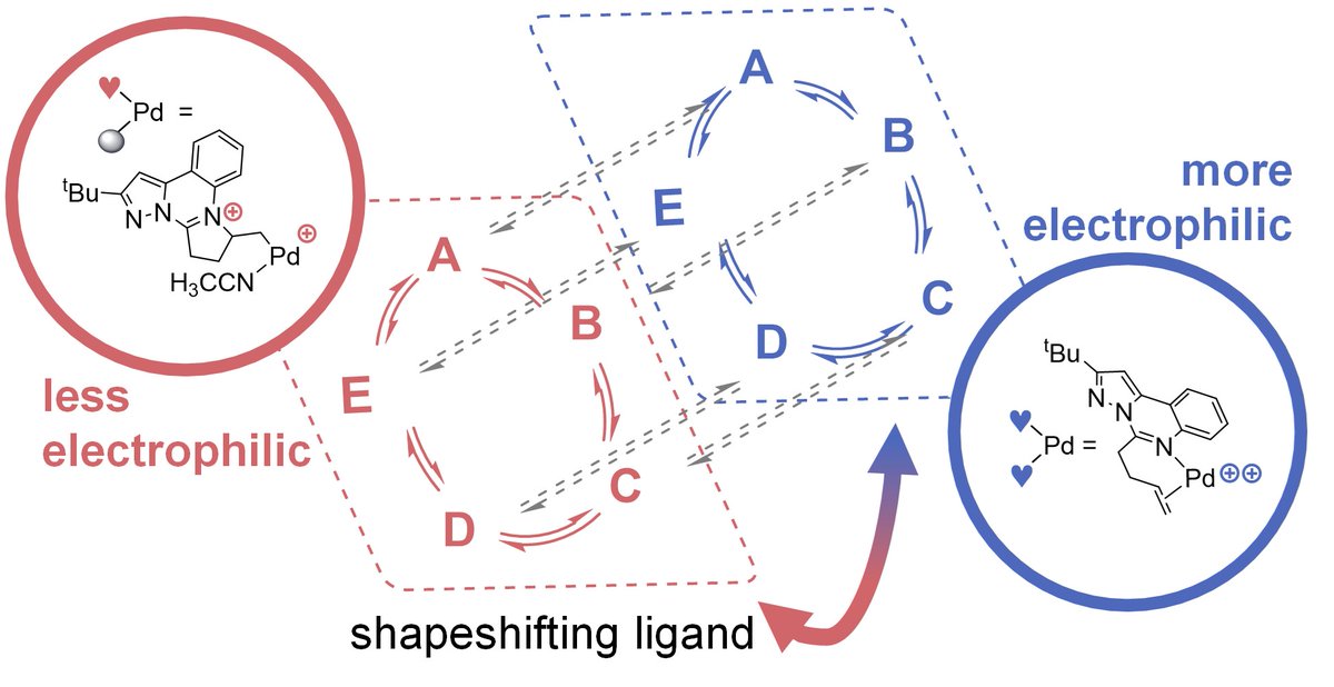 Don't want to jinx it but... our group submitted our first paper today and I'm super excited about it!! 🎉

Also my first time trying <a href="/ChemRxiv/">ChemRxiv</a> 
doi.org/10.26434/chemr…