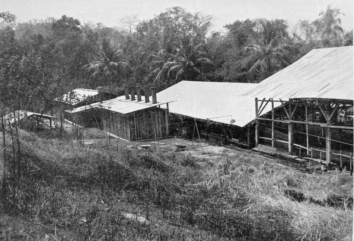 In other ice cream news, Timber Control, set up the day after WWII broke out, controlled all British wood needs. They sent an explorer to Panama to find balsa and set up a saw mill there (pictured) to build Mosquitos. And said no to the ice cream trade who wanted wooden spoons …
