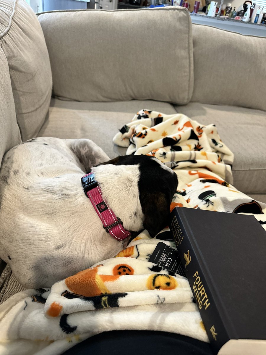 stephyboo721's tweet photo. @guffychan Cuddly dog for me! ♥️ https://t.co/TRVOXgrZiA