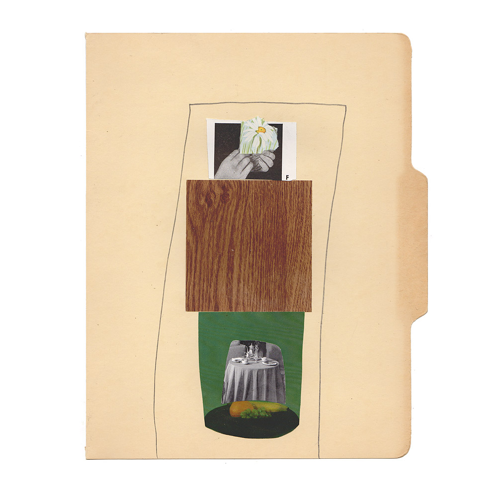 fred free tweet media