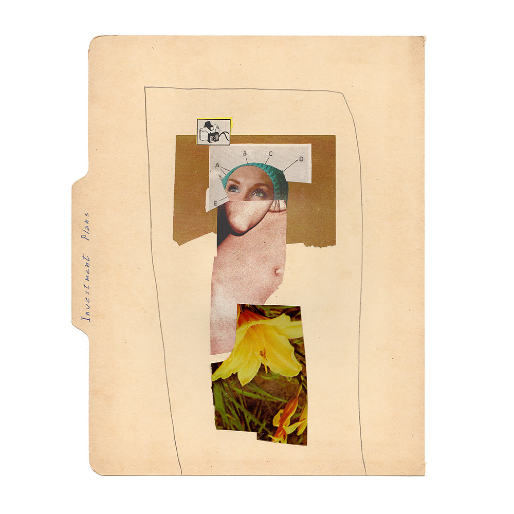 fred free tweet media