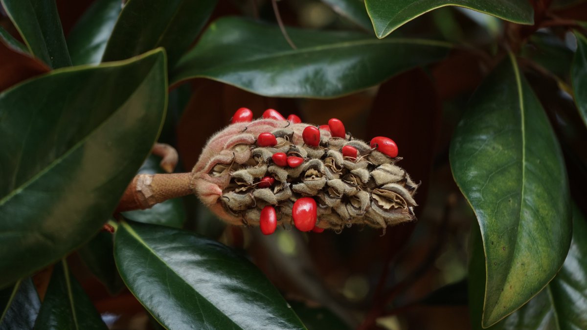 Clarkston Community tweet media