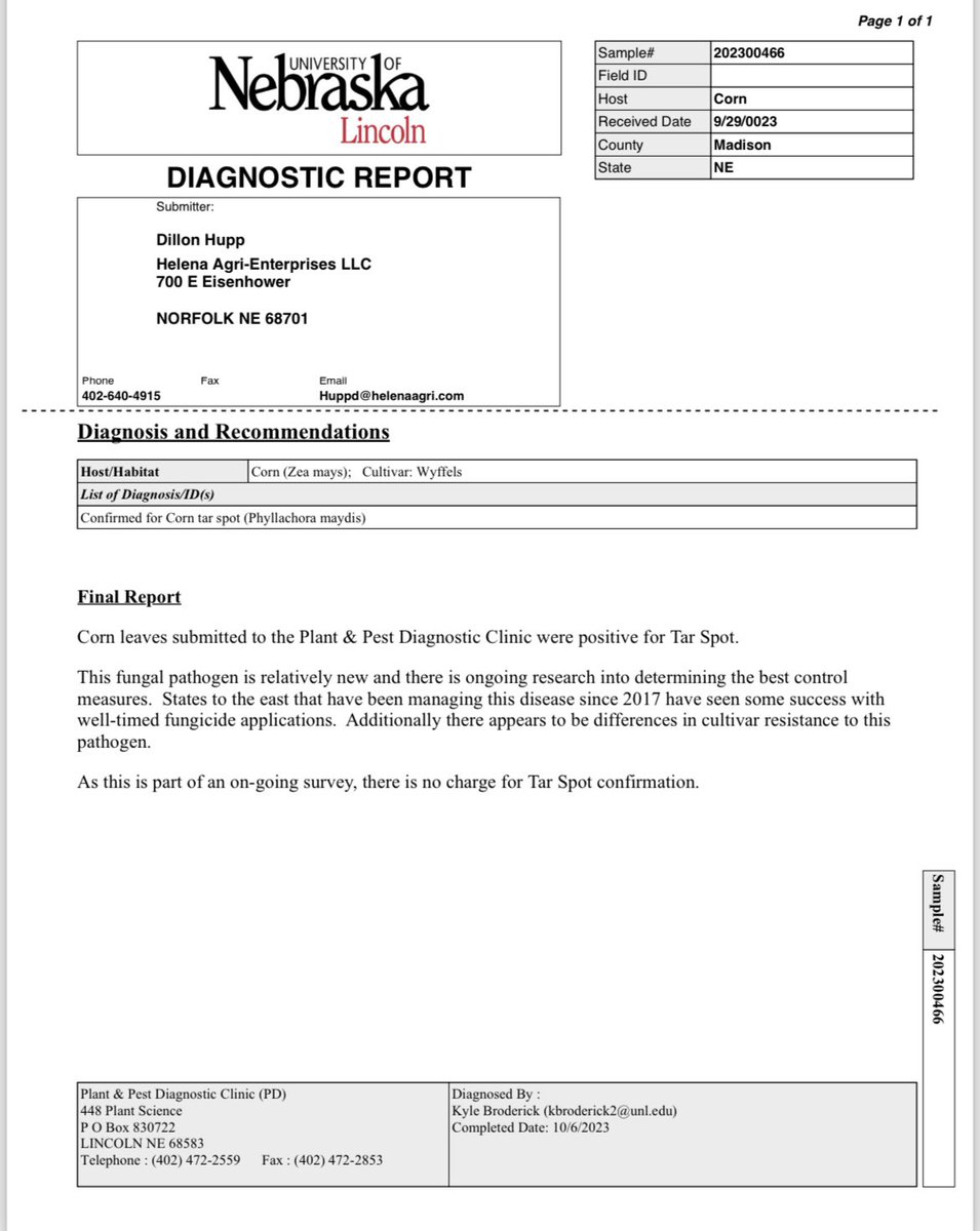 Tar spot confirmed late on the few remaining green leaves by Battle Creek,NE. 

2024 is going to be a challenging year. Hybrid selection and fungicide application will be huge in slowing this down. <a href="/UNL_CropWatch/">Nebraska CropWatch</a> <a href="/UNLPlantClinic/">UNLPlant&Pest Clinic</a> <a href="/HelenaAgri/">Helena Agri-Enterprises</a>