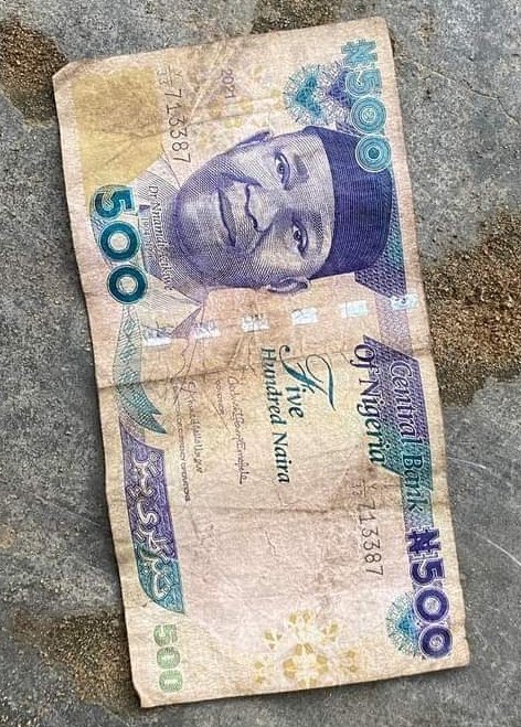 What soup can this amount cook 
Let see wife material