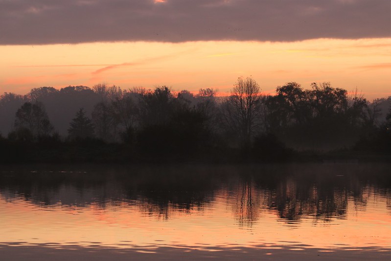 Happy Thanksgiving! We're grateful for the outdoors and invite you to spend some time in nature with us. The UTRCA owns @fanshaweCA, <a href="/PittockCA/">Pittock CA</a> and <a href="/WildwoodCA/">Wildwood CA</a>  providing opportunities for outdoor recreation and nature appreciation. #stepintonature