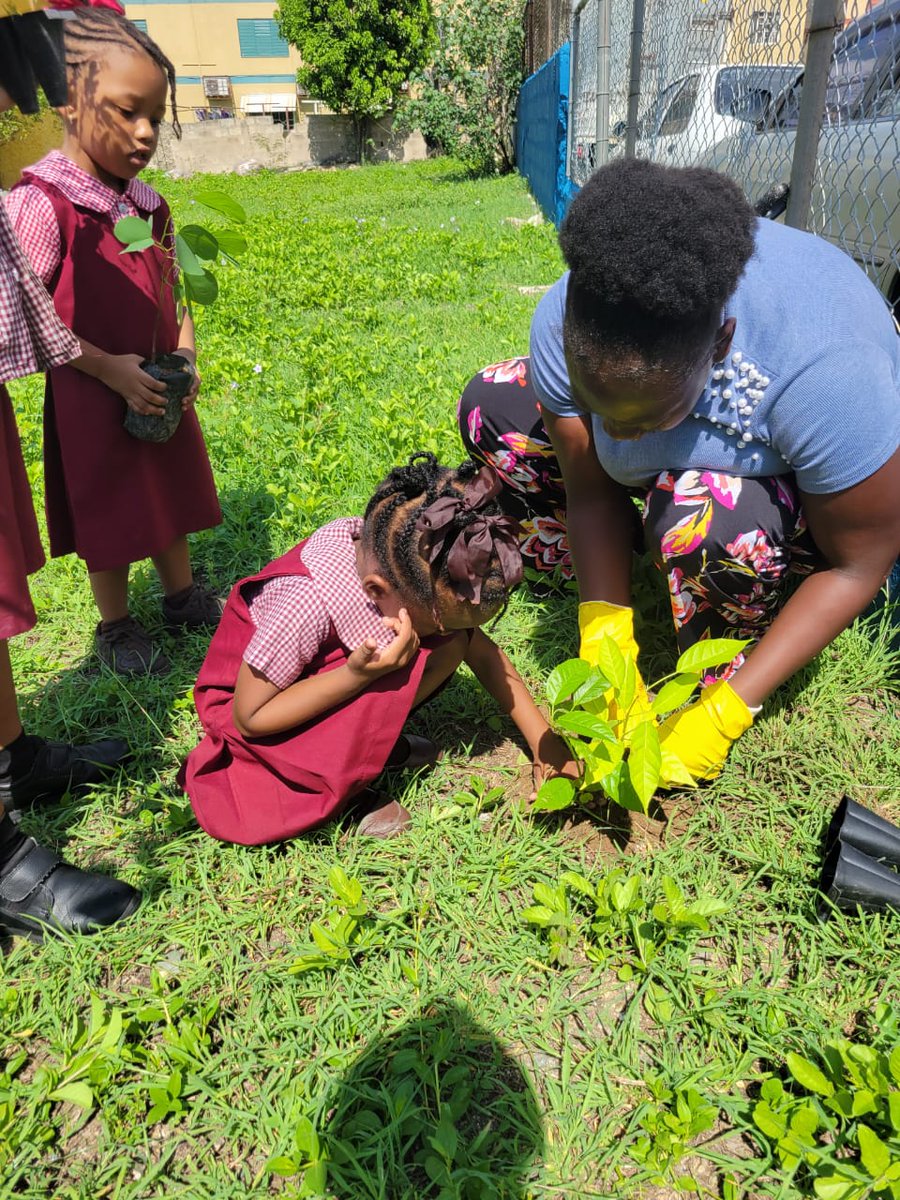 Joleesa C. tweet media