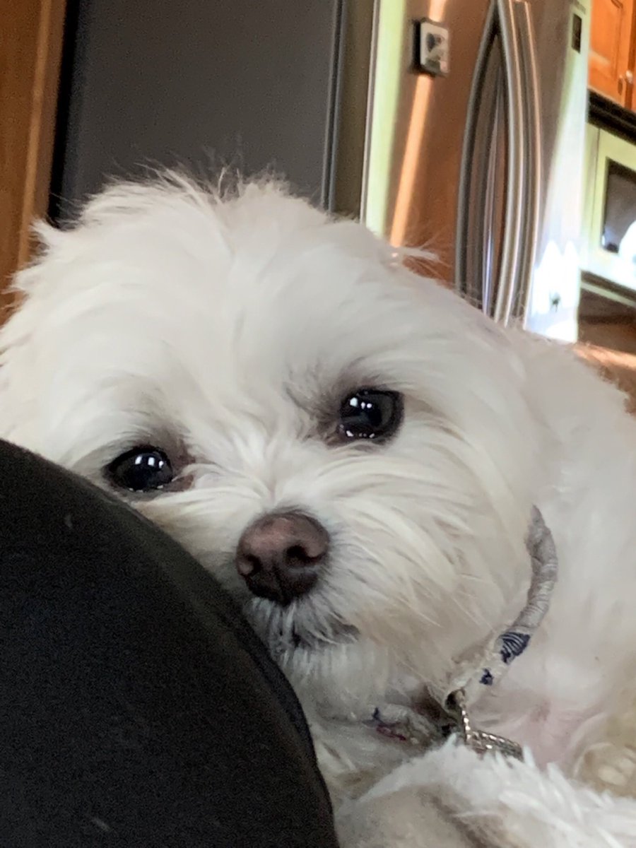 twaniimals's tweet photo. https://t.co/KnarhXgRyF