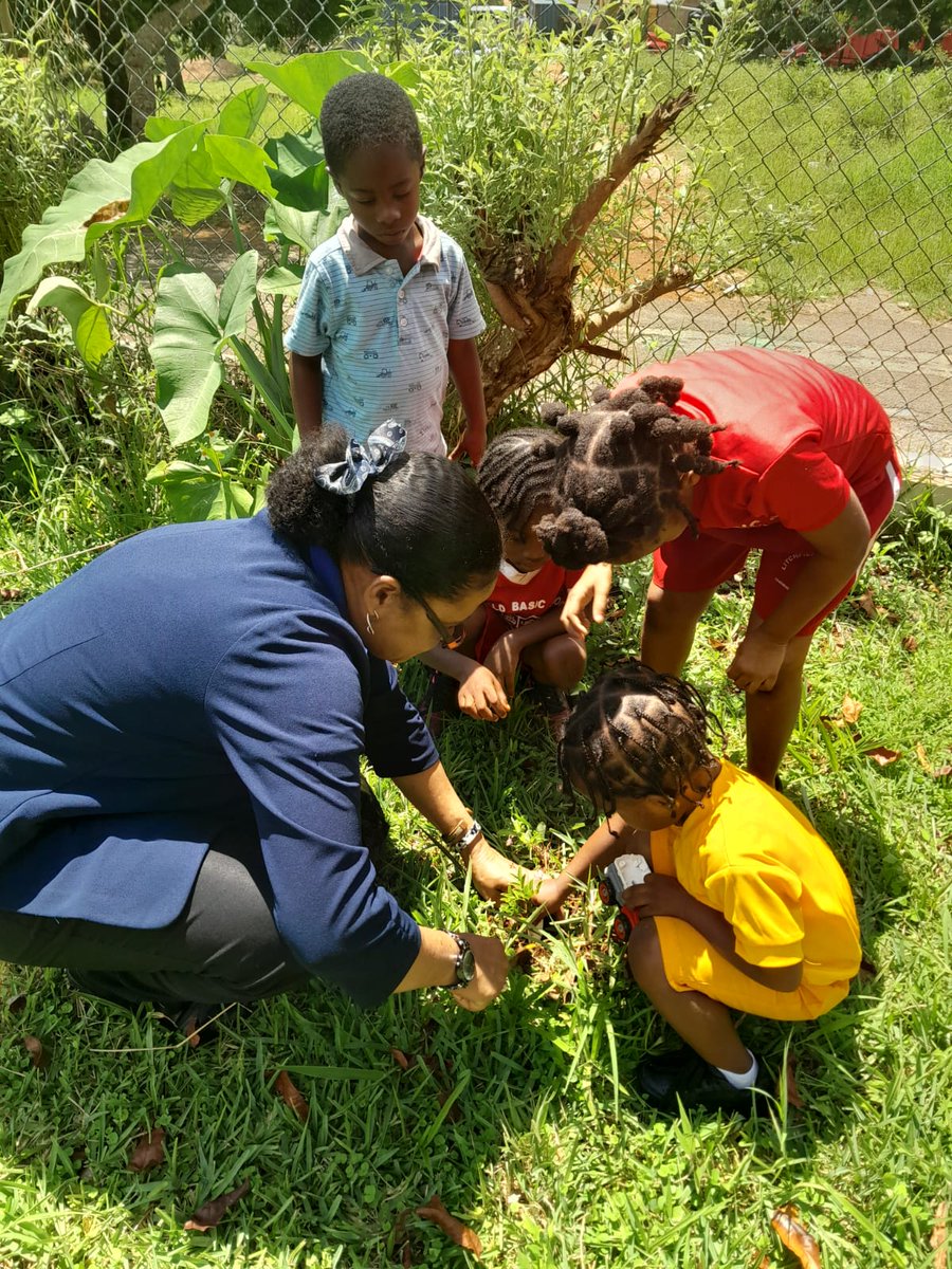 KemmyLeslie (@kemmyleslie) on Twitter photo National Tree Planting Day. Here Mrs Swaby Rowe Development Officer <a href="/ECCJA/">Early Childhood Commission</a> Planting a tree with children from Litchfield Basic in Manchester #12StandardsMatter <a href="/Andrea58383539/">Andrea Tulloch-Davis</a> <a href="/TanishaMill2012/">Tanisha Miller</a> <a href="/cfranoBrighty/">Carene</a> <a href="/golebourne/">Kadeem Golebourne ECC</a> <a href="/ItzmellEcc3/">ItzMell_ECC3</a> <a href="/Stcy14226538/">October Girl✨️♏️</a> <a href="/Kevin62642151/">Kevin</a> <a href="/GrantShaunette/">Shaunette Grant</a> National Tree Planting Day. Here Mrs Swaby Rowe Development Officer <a href="/ECCJA/">Early Childhood Commission</a> Planting a tree with children from Litchfield Basic in Manchester #12StandardsMatter <a href="/Andrea58383539/">Andrea Tulloch-Davis</a> <a href="/TanishaMill2012/">Tanisha Miller</a> <a href="/cfranoBrighty/">Carene</a> <a href="/golebourne/">Kadeem Golebourne ECC</a> <a href="/ItzmellEcc3/">ItzMell_ECC3</a> <a href="/Stcy14226538/">October Girl✨️♏️</a> <a href="/Kevin62642151/">Kevin</a> <a href="/GrantShaunette/">Shaunette Grant</a>