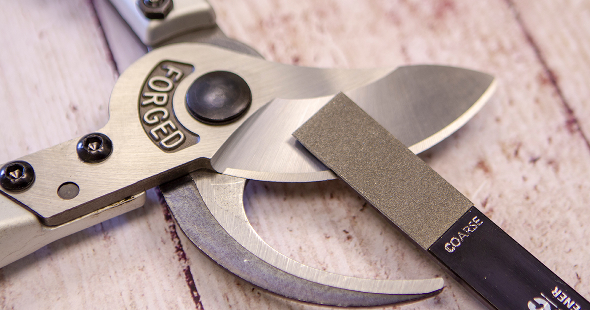DarlacGardening's tweet photo. When the blades on your trusty Darlac tools show signs of wear and tear, restore them to their former glory with the Darlac Coarse Grade Diamond Sharpener!
https://t.co/0FbMBus3RF
#toolmaintenance #gardentools #darlac #toolsharpener #toolsharpening #sharpeningtools https://t.co/3weH057B15