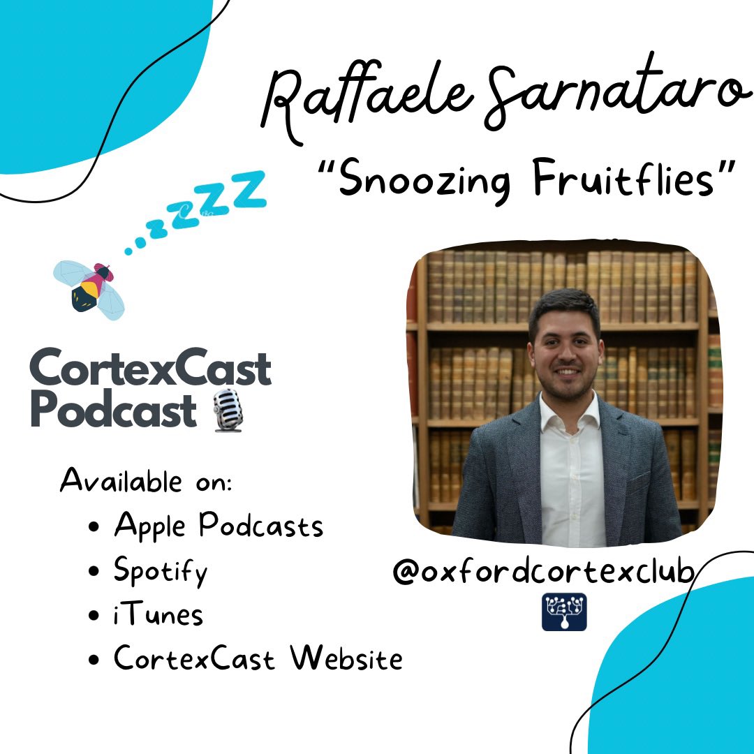 S2E2: “Snoozing Fruitflies” new CortexCast episode with @RafSarnataro led by @RitikaMukherji. Releasing on Monday 9th October. Don’t forget to tune-in!