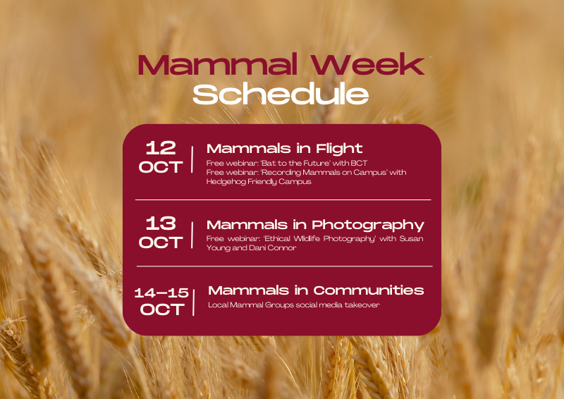 Excited for #MammalWeek? Have a look at our schedule for the week! 🗓 From the 9th to 15th of October, we are celebrating and raising awareness for all our mammal counterparts! 🐾 Each day of #MammalWeek, we celebrate the different #MammalConnections each of us have.