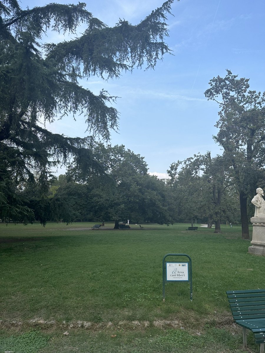 koerte vaba liikumine keset suurt parki Milaanos ❤️- #probleemivaba #petfriendlycity