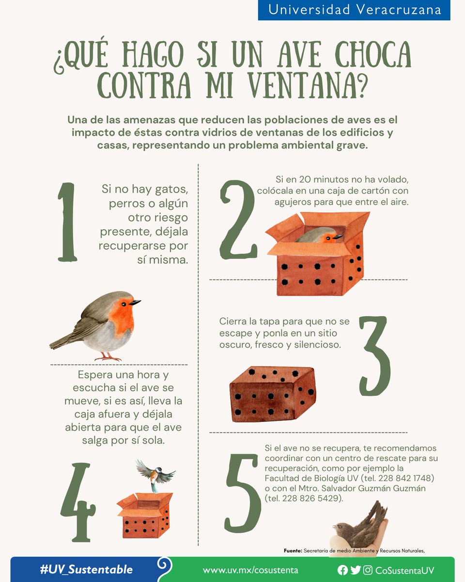 CoSustenta UV tweet media