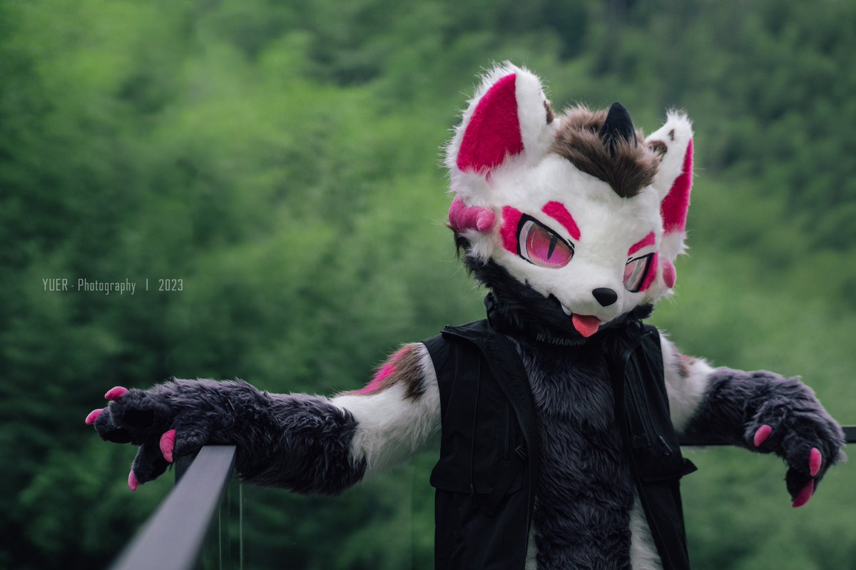 可爱小狗狗龙（？ @Klauslikesauce #FursuitFriday