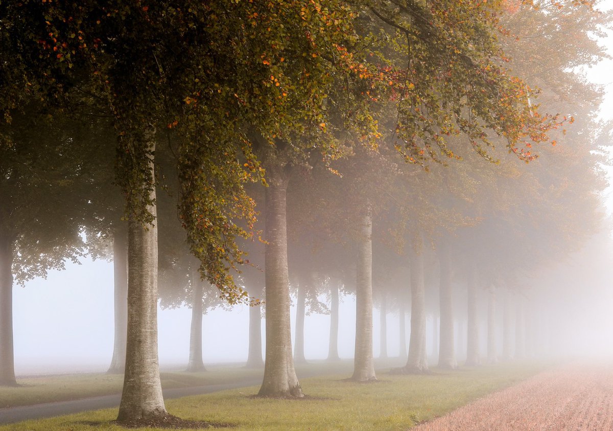 𝐌𝐚𝐭𝐭 𝐏𝐢𝐧𝐧𝐞𝐫 tweet media