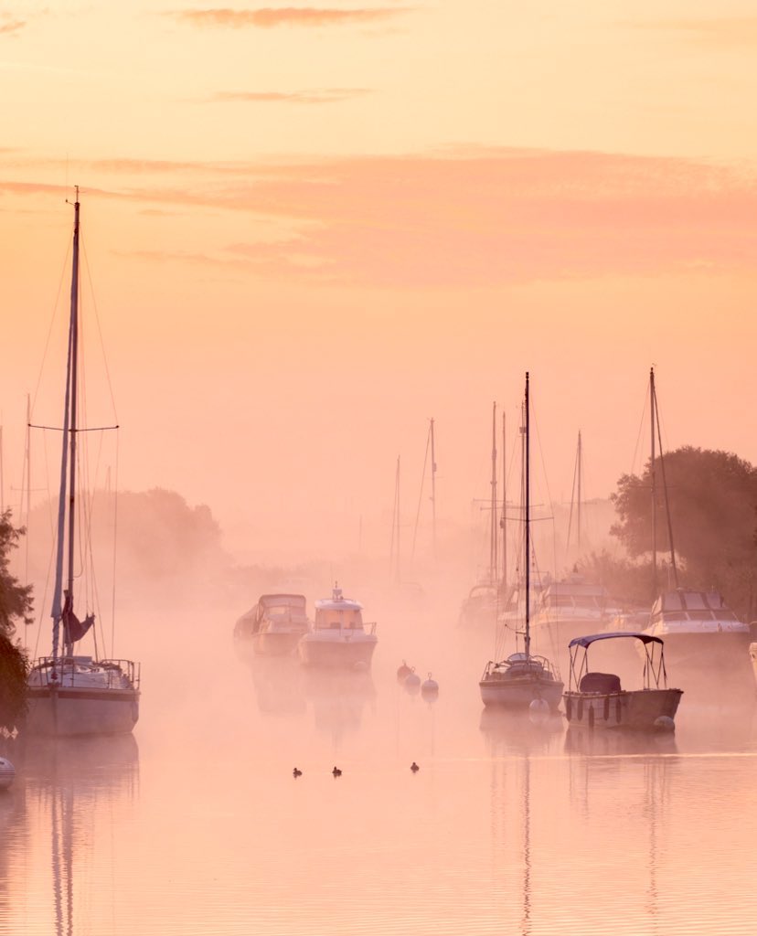 𝐌𝐚𝐭𝐭 𝐏𝐢𝐧𝐧𝐞𝐫 tweet media