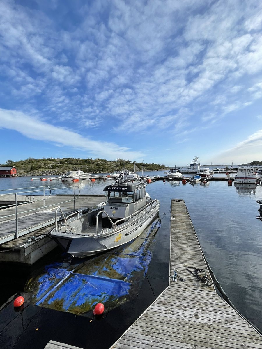 Joana Xavier tweet media