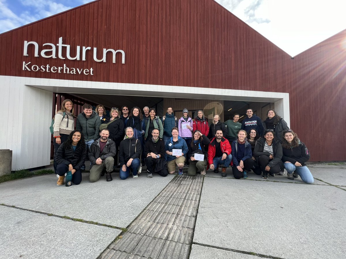 Joana Xavier tweet media