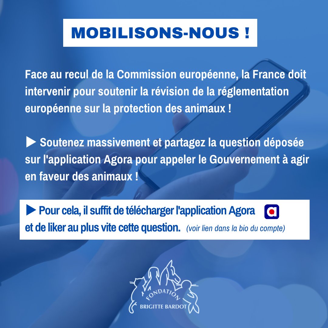 #RévisionBEA
❗️Appel à l’action❗️
Face au recul de la Commission européenne, la France doit intervenir pour soutenir la révision de la réglementation européenne sur la protection des animaux !
▶️ Soutenez massivement et partagez la question déposée sur l'application Agora pour…